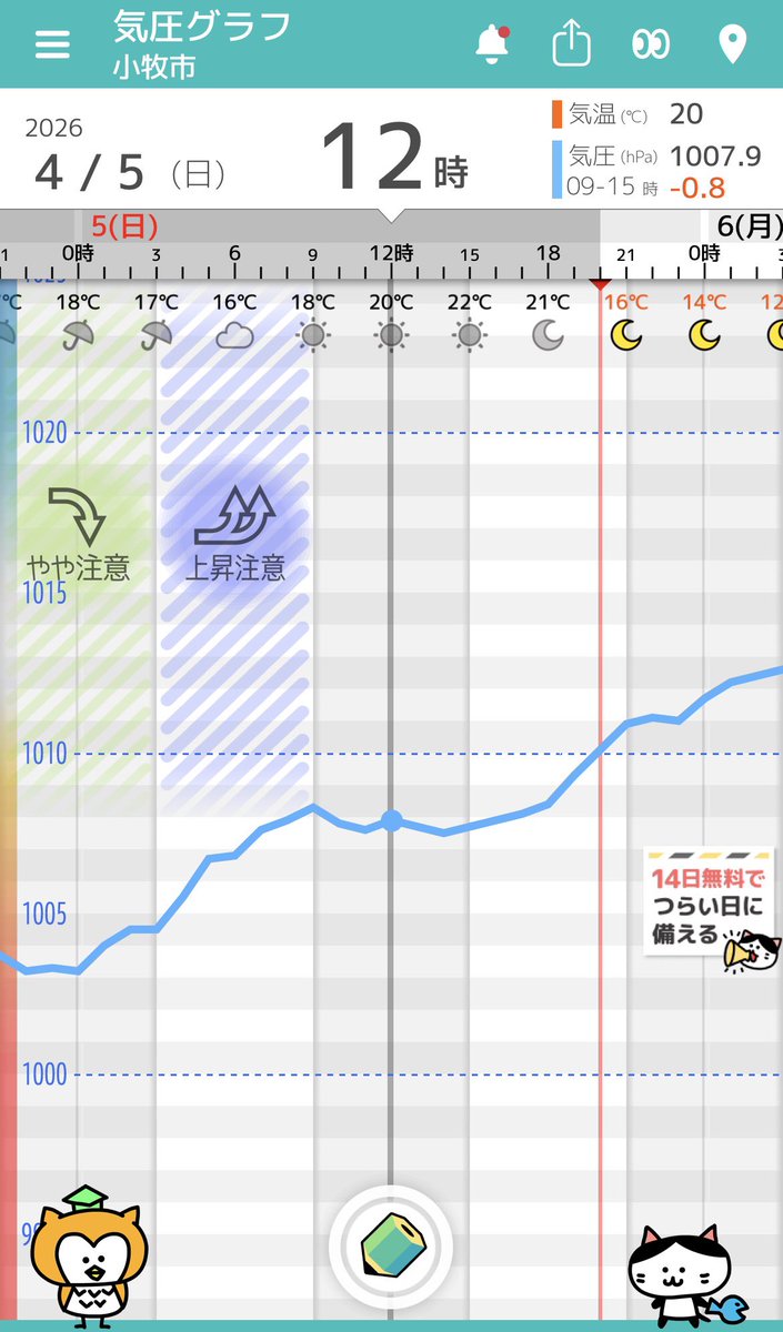 くるみるく tweet media