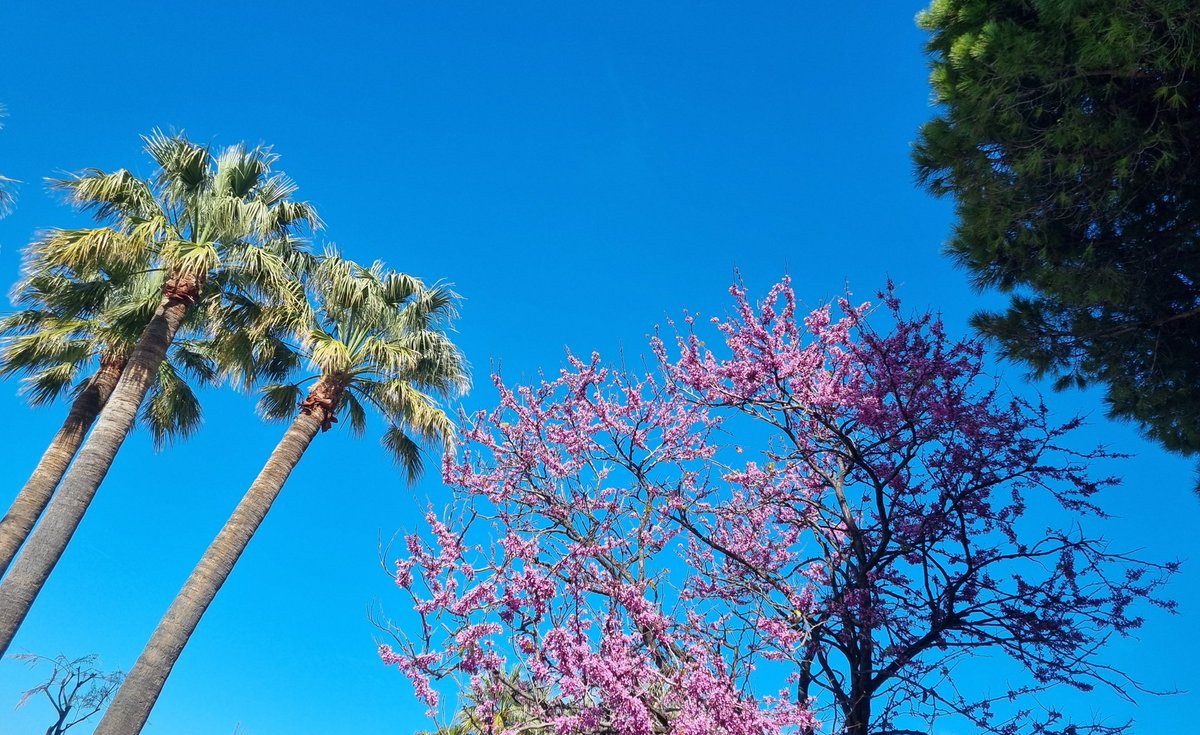 vanessavalence1's tweet image. #Dimanche 
#Bleu 
#Cannes