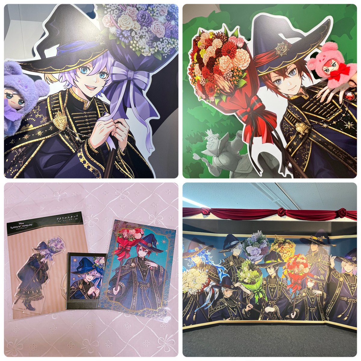 紅梨🌱めっぞめぞ tweet media