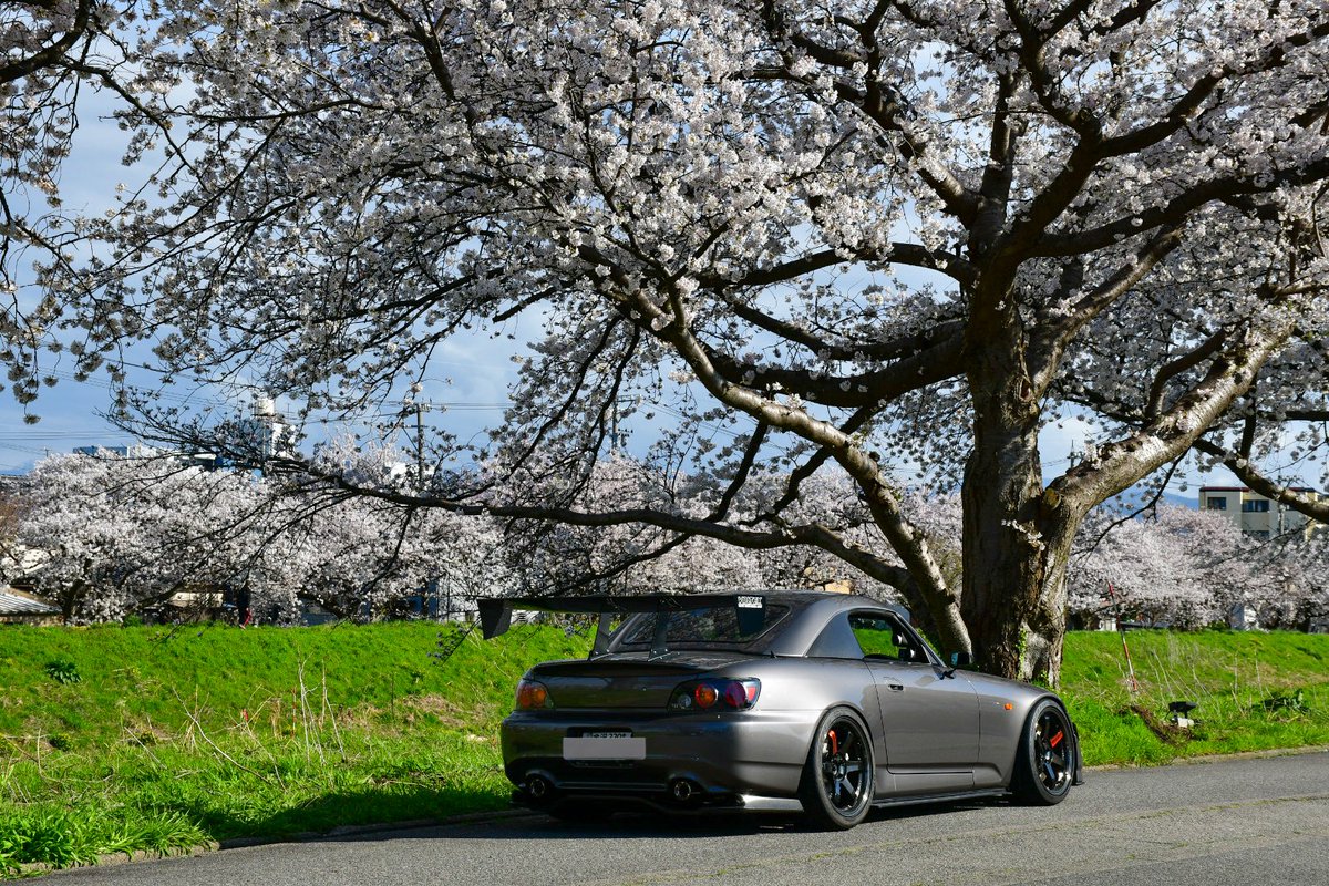 ☆７２３☆ tweet media