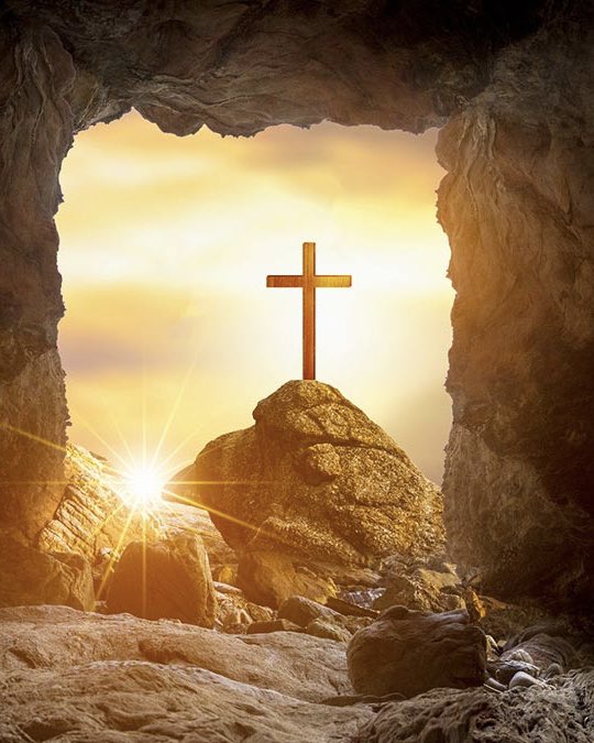 Daniel Passerini tweet media