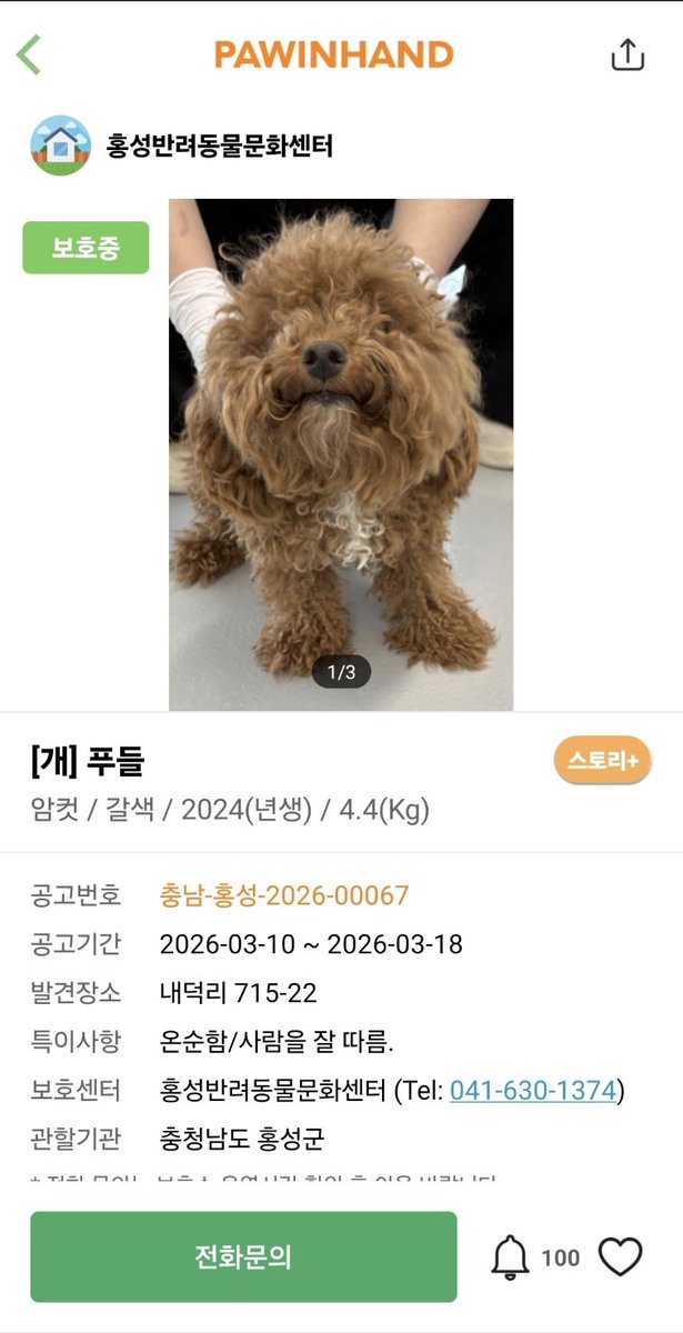 홍성보호소 입양 홍보 🚨안락사 예정🚨 tweet media