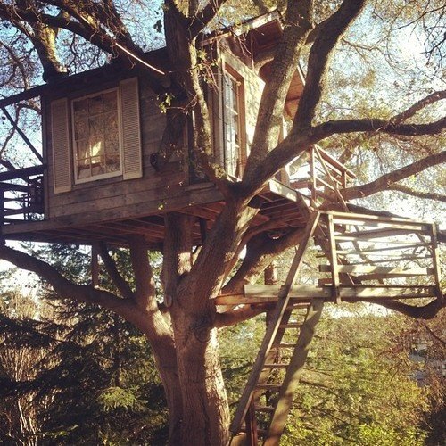 williestiee's tweet image. A #WILLIAMEST au wherein:

William does not like travelling, but if travelling means spending his summer holidays in his uncle's old house with a lake? He can bite the dust… let’s just not talk about Est who lives in the neighbourhood and is a big fan of making a tree house.