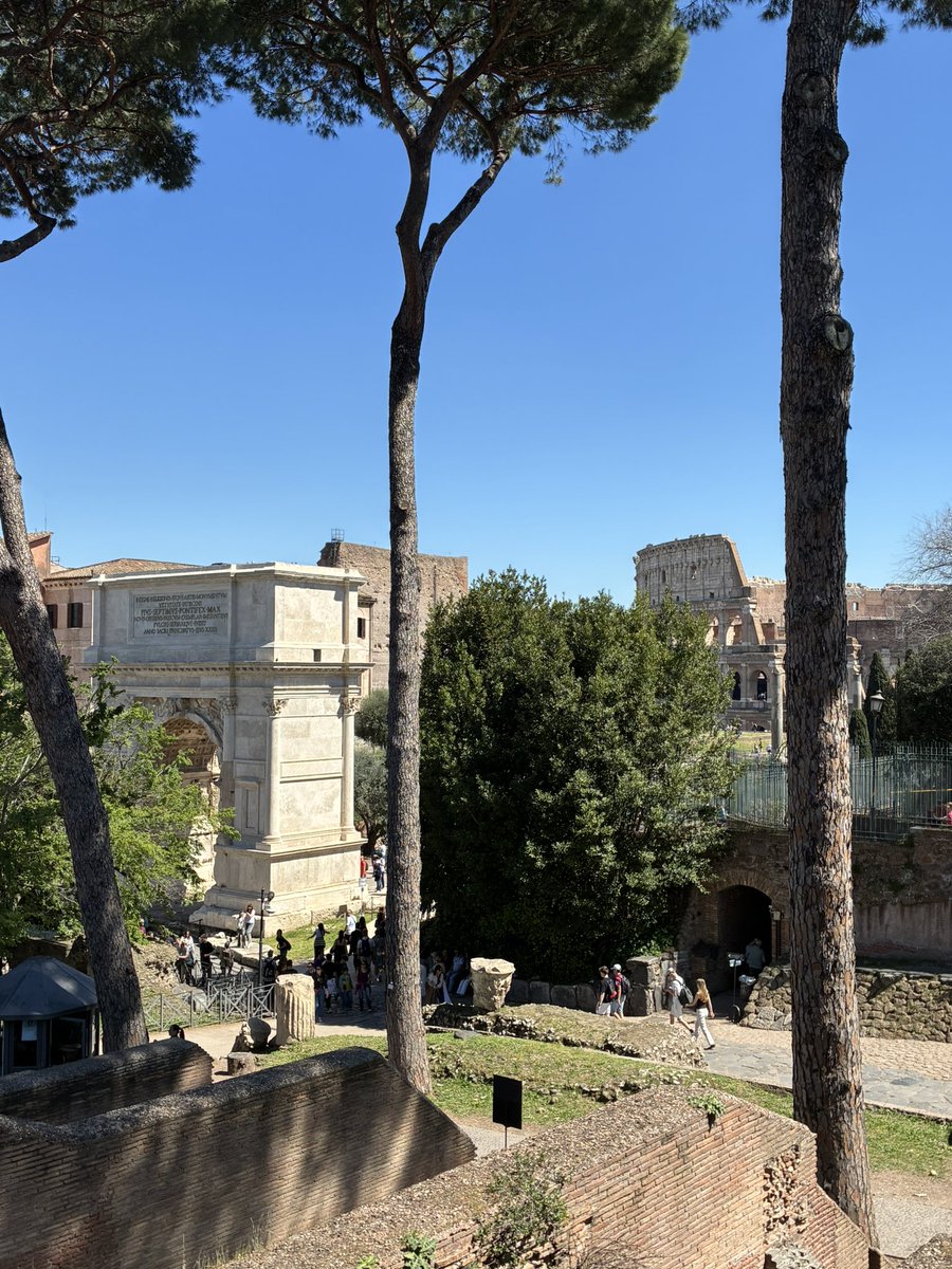 Alessandro Procaccini tweet media