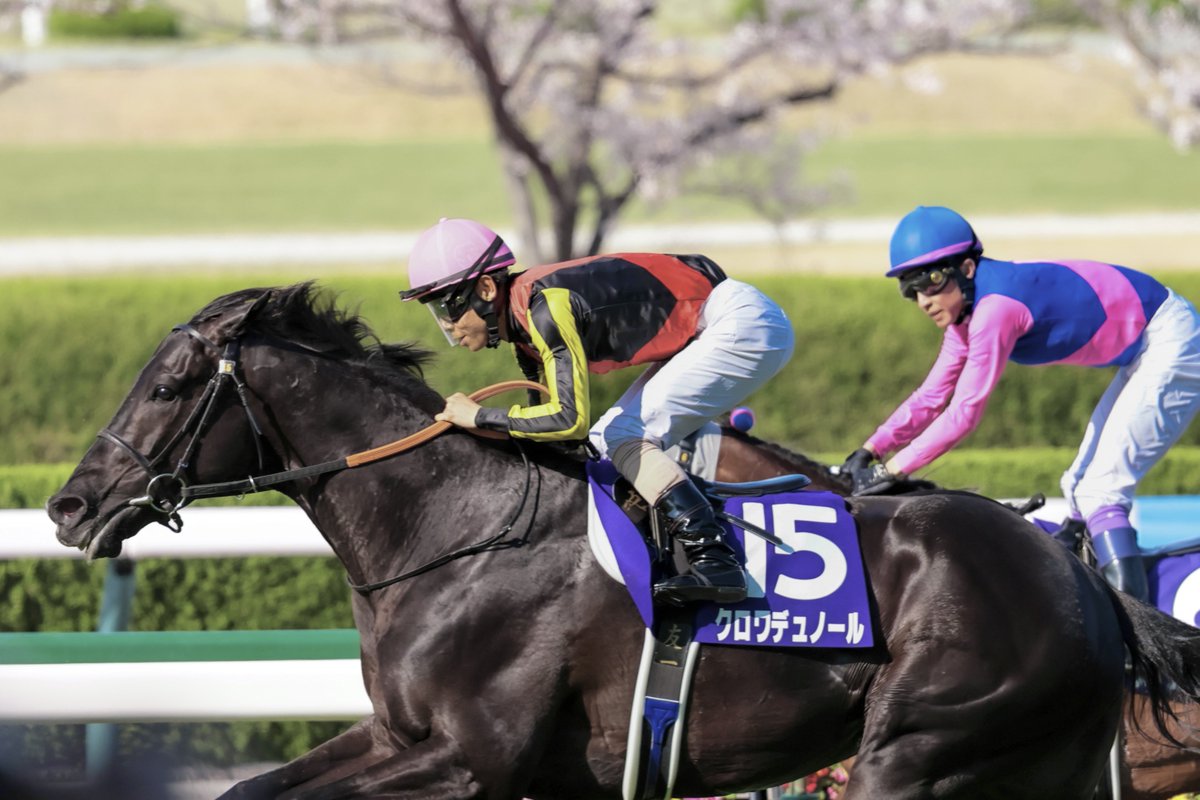 M i k a 。。* tweet media