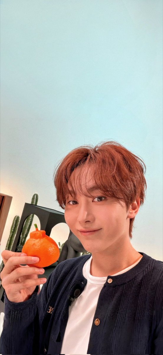 Wallpaper Seventeen tweet media