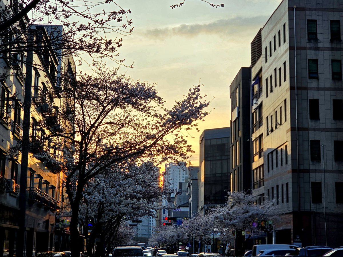 г¦¬ 플래닛뭐시기(겹친소 찾아왔슴당) tweet media