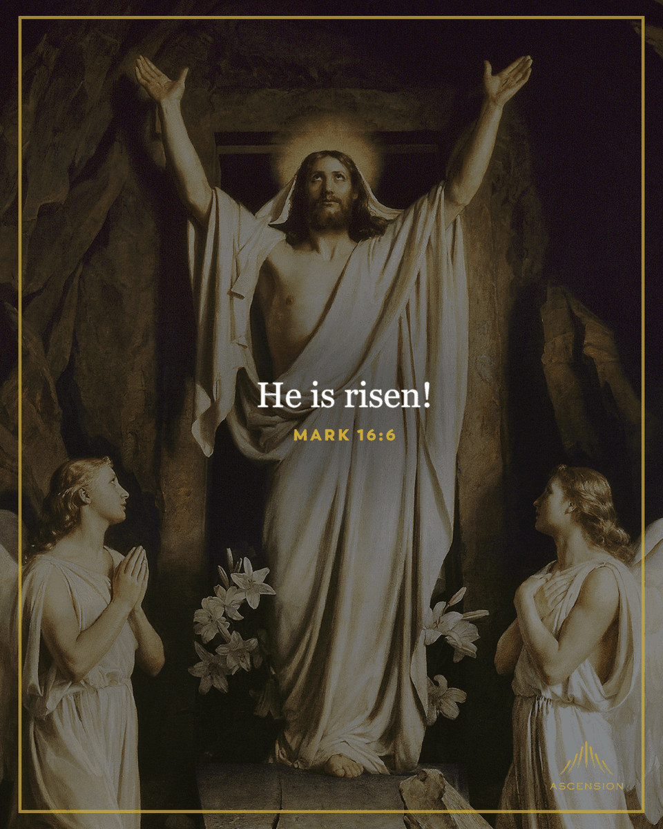 Ascension tweet media