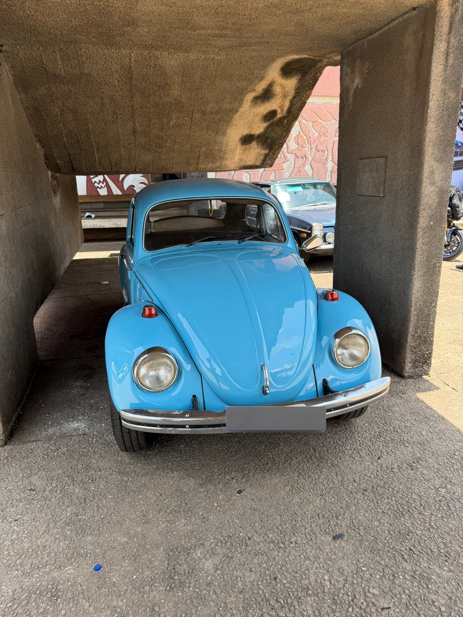 Single davinci ⛩️ tweet media