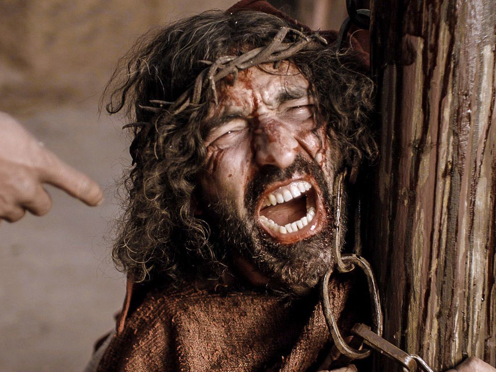 3_Bike_Mike tweet media