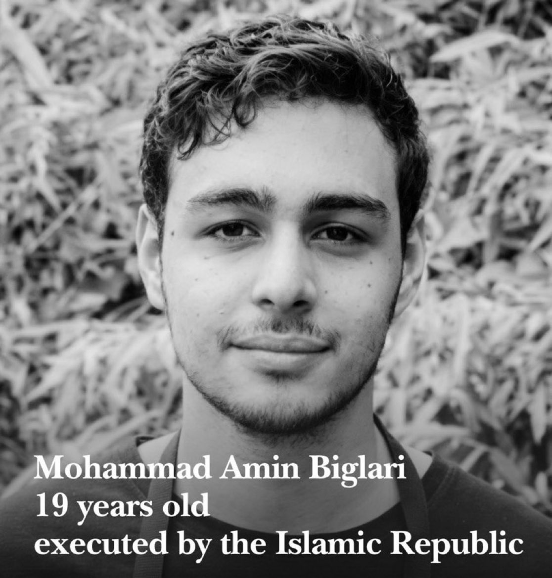 - Le Direct Info 🔴 tweet media