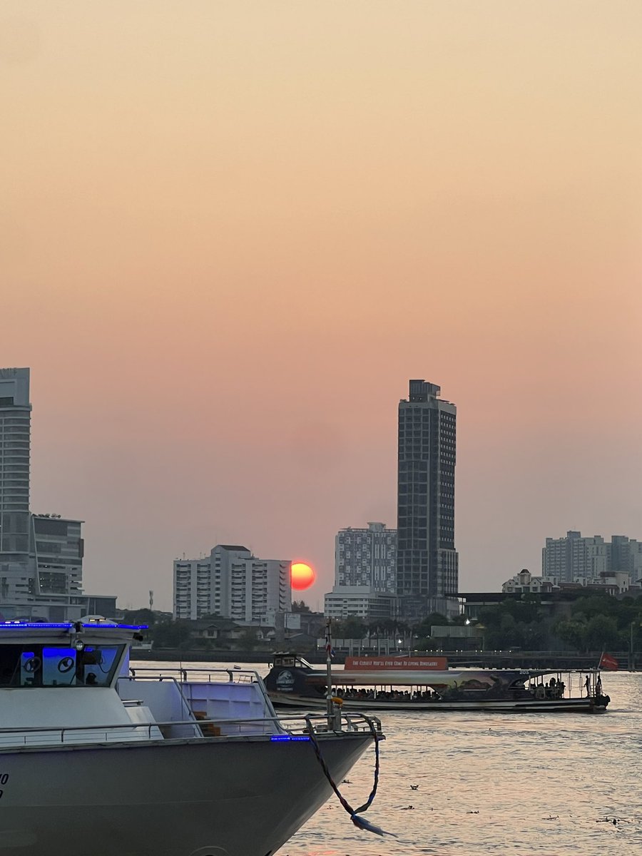 坂口愛美 tweet media