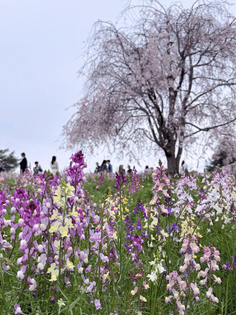 あーちゃん♡ tweet media