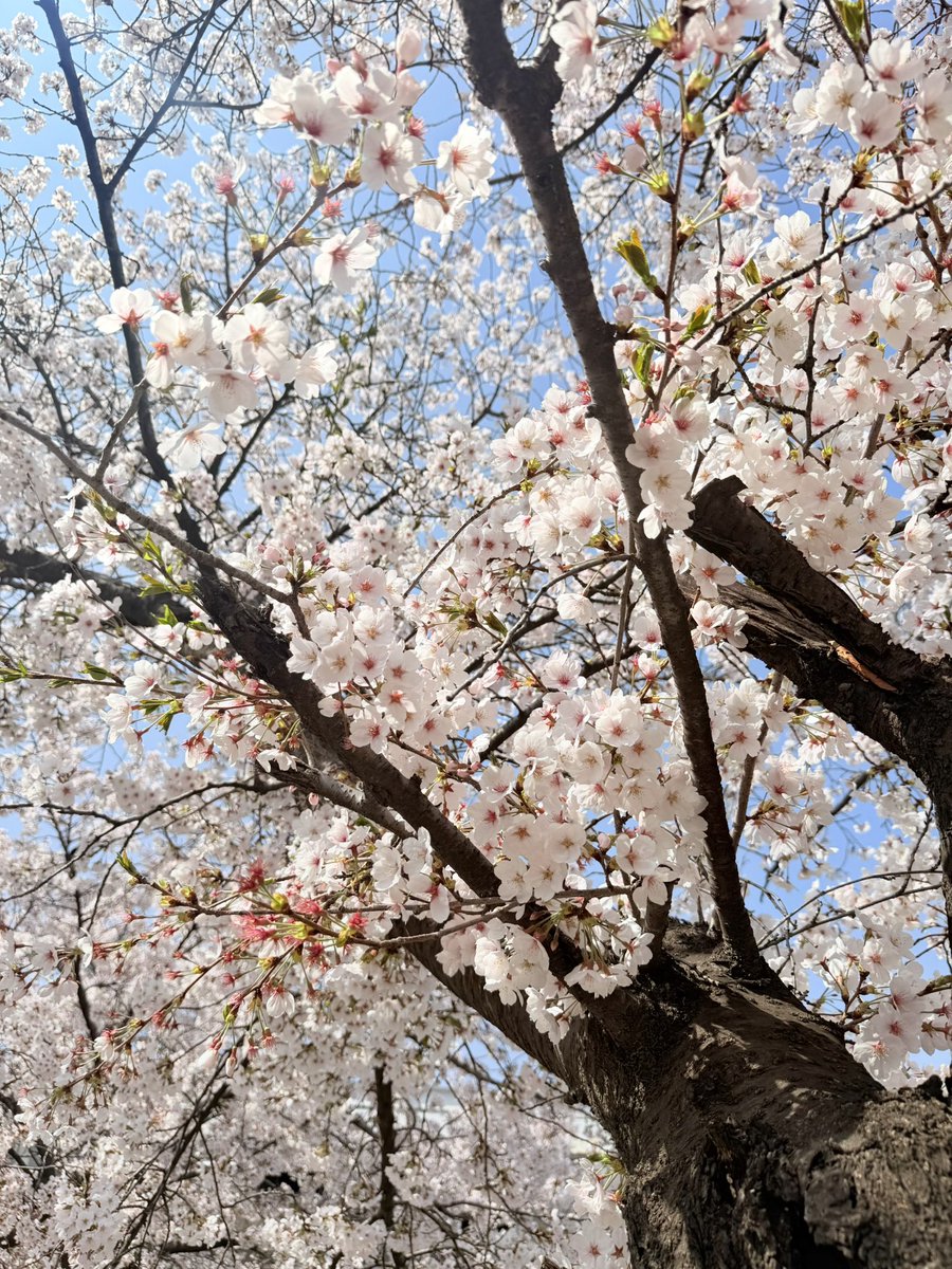 bae ☁︎‧₊˚ tweet media