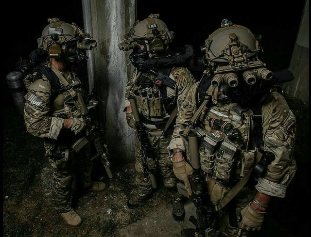 Vivid.🇮🇱 tweet media