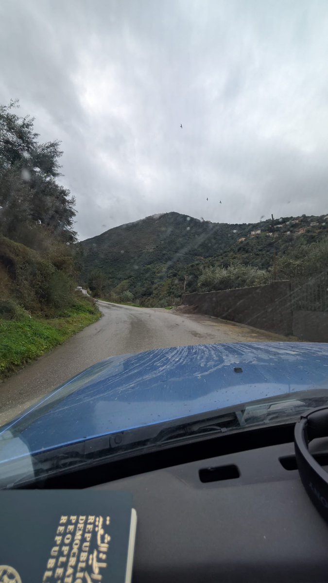 Kabyle Solide tweet media