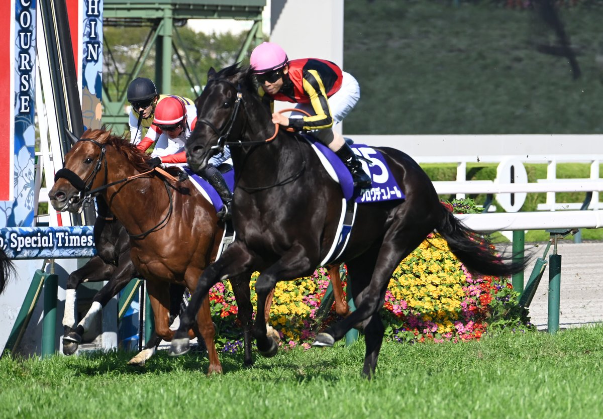 netkeiba tweet media