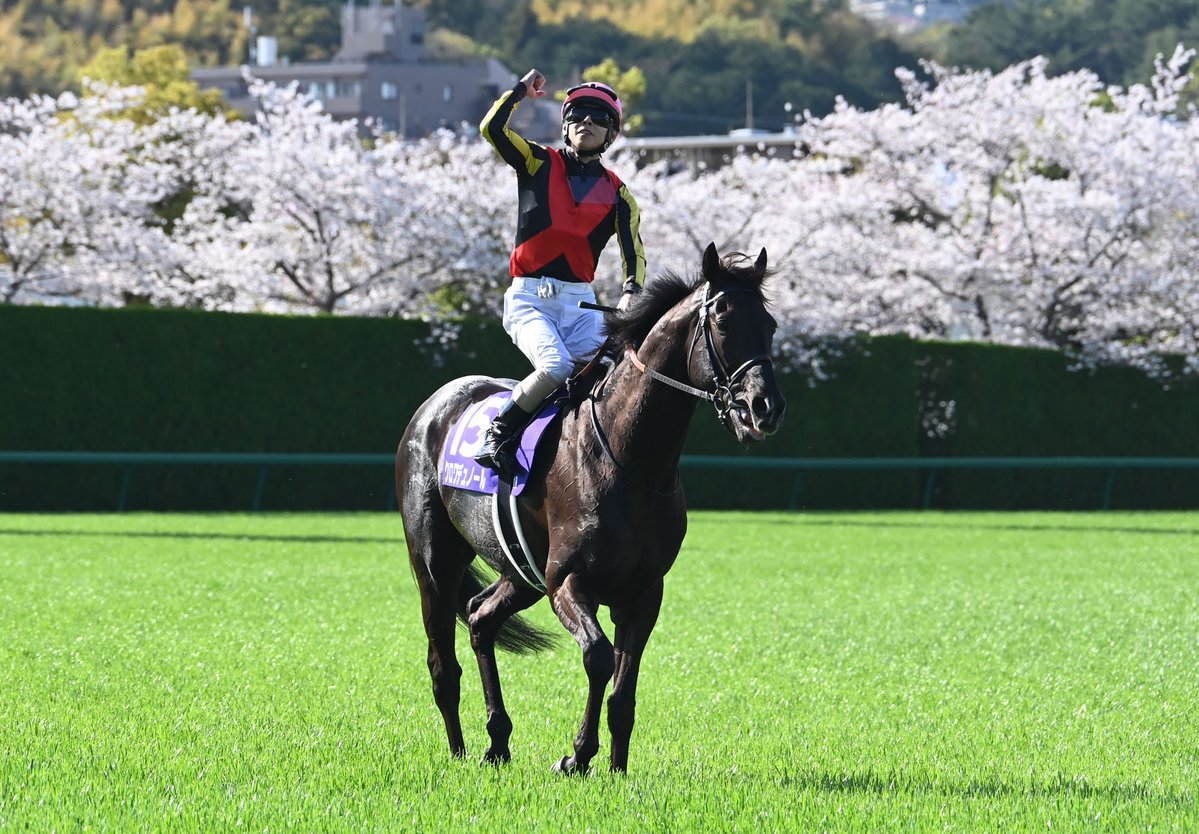 netkeiba tweet media