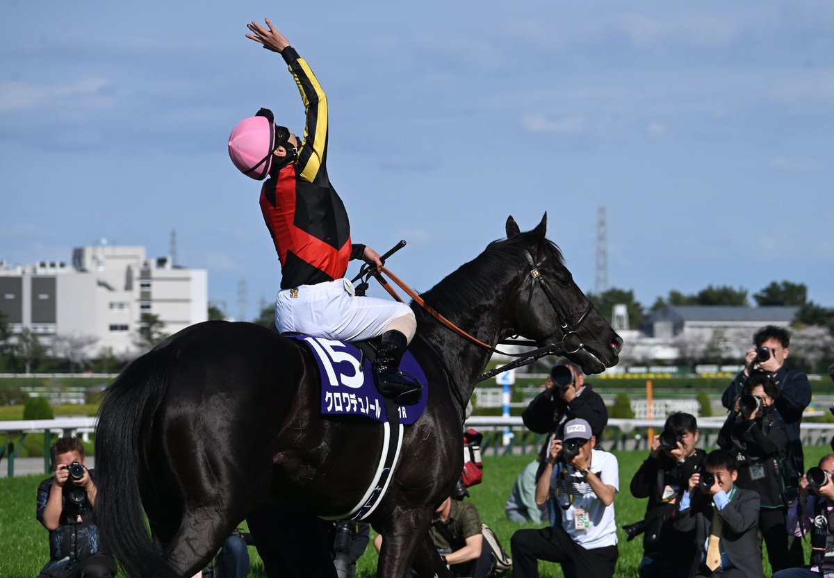 netkeiba tweet media