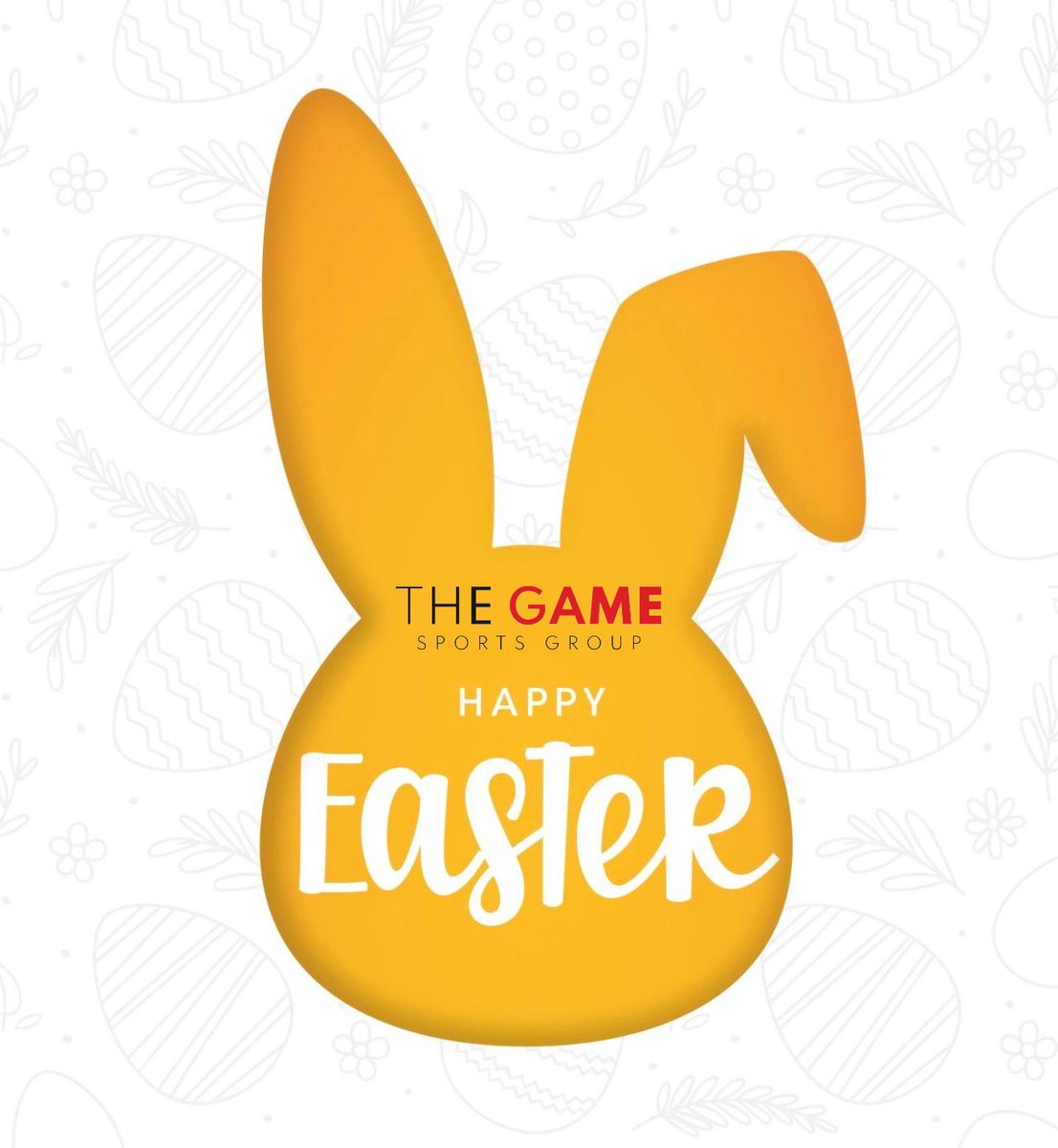 THE GAME SOCCER ACADEMY tweet media