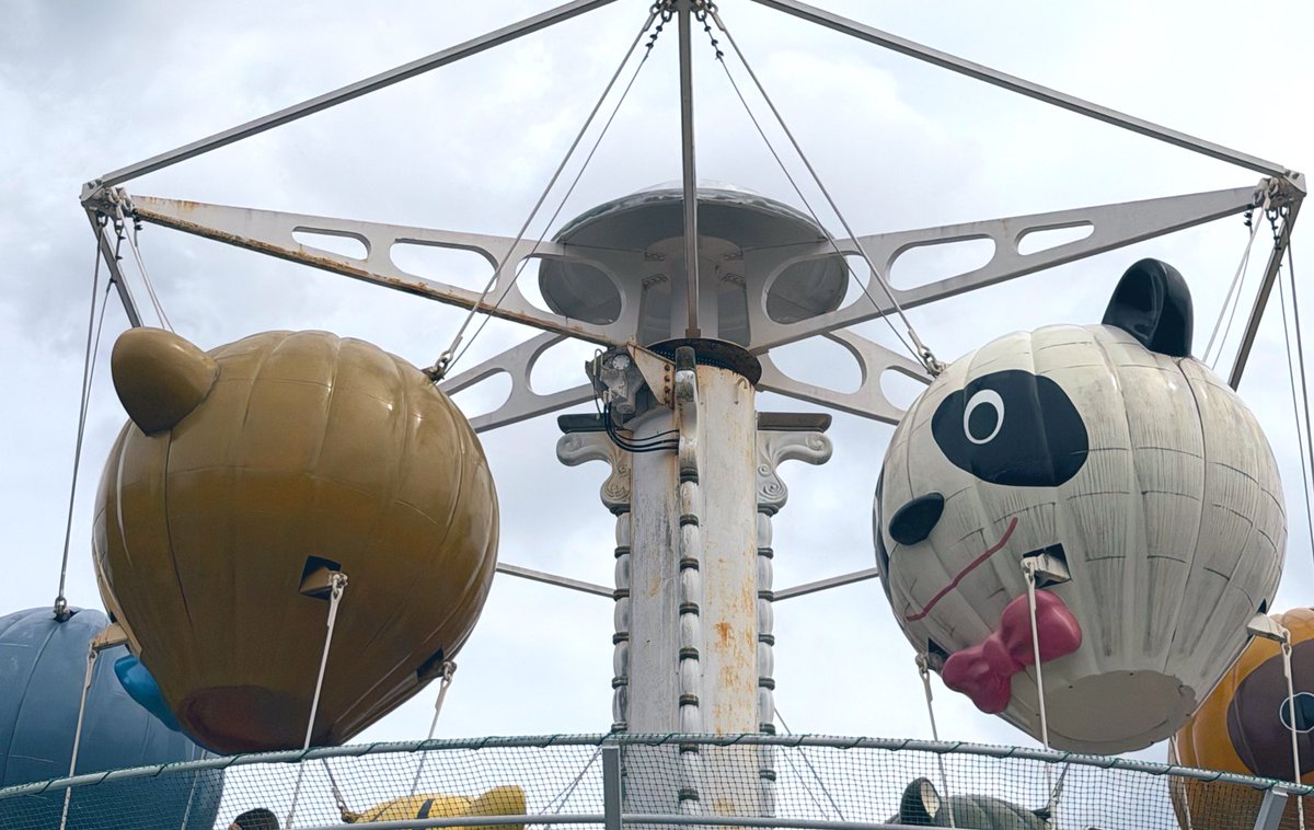 ダー子 tweet media