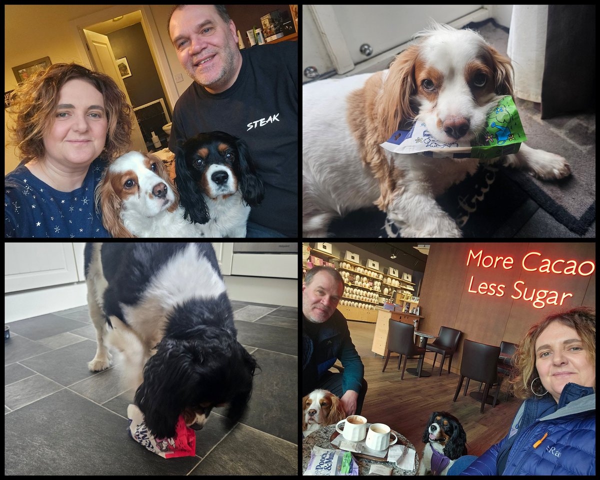 runawaygirl248's tweet image. A very #HappyEaster to everyone from the Moore #cavpack! 🍫🐣
#Chocolate for us and doggie treats for Theo and Chester 😄
One of the days in the year when its acceptable to eat chocolate for breakfast....right?!!