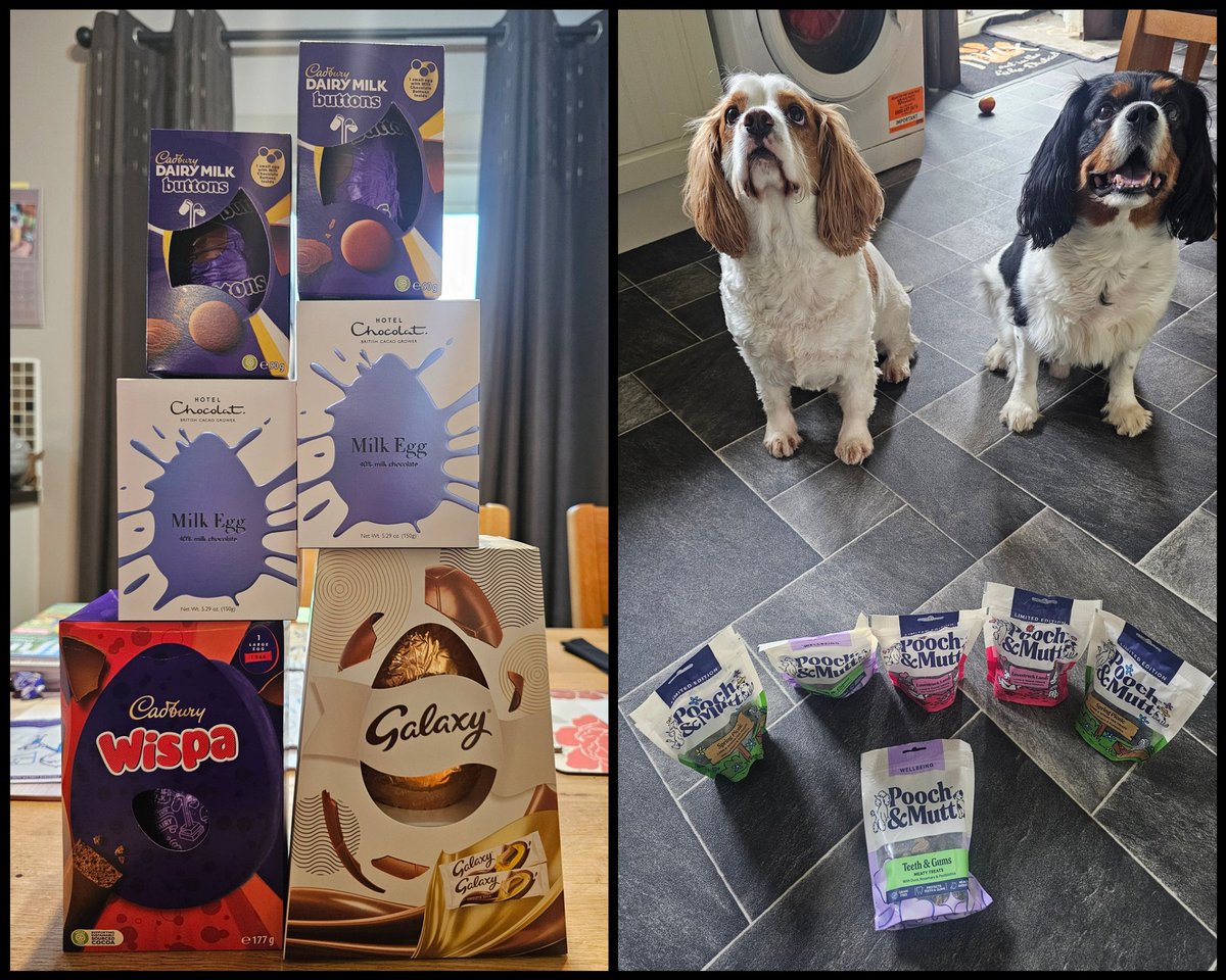 runawaygirl248's tweet image. A very #HappyEaster to everyone from the Moore #cavpack! 🍫🐣
#Chocolate for us and doggie treats for Theo and Chester 😄
One of the days in the year when its acceptable to eat chocolate for breakfast....right?!!