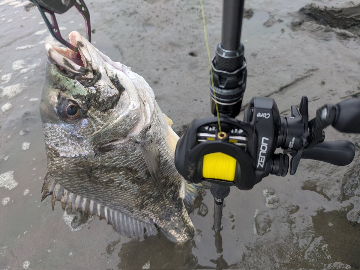 INA fishing tweet media