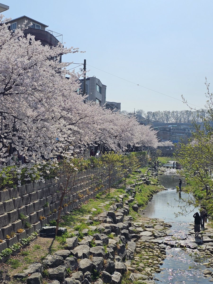 별행자 tweet media