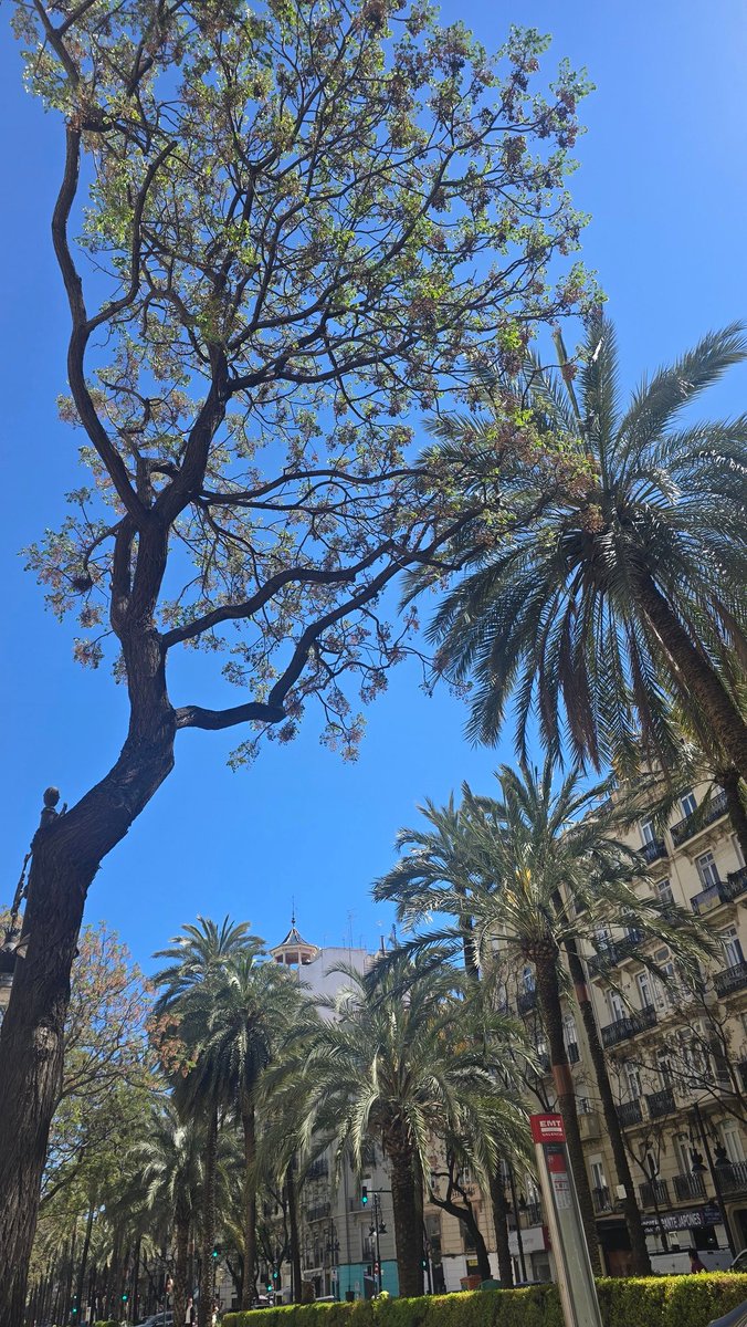 Rebecca 🖤 tweet media