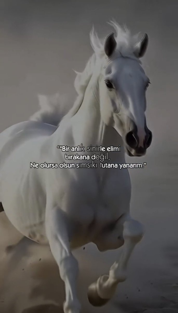 Sessiz Güç tweet media