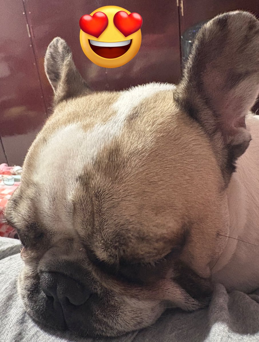 Sarah Couturier tweet media