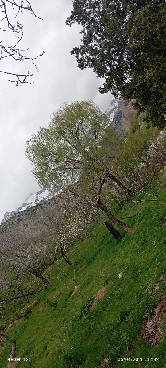 Kimdir🙃💜 tweet media