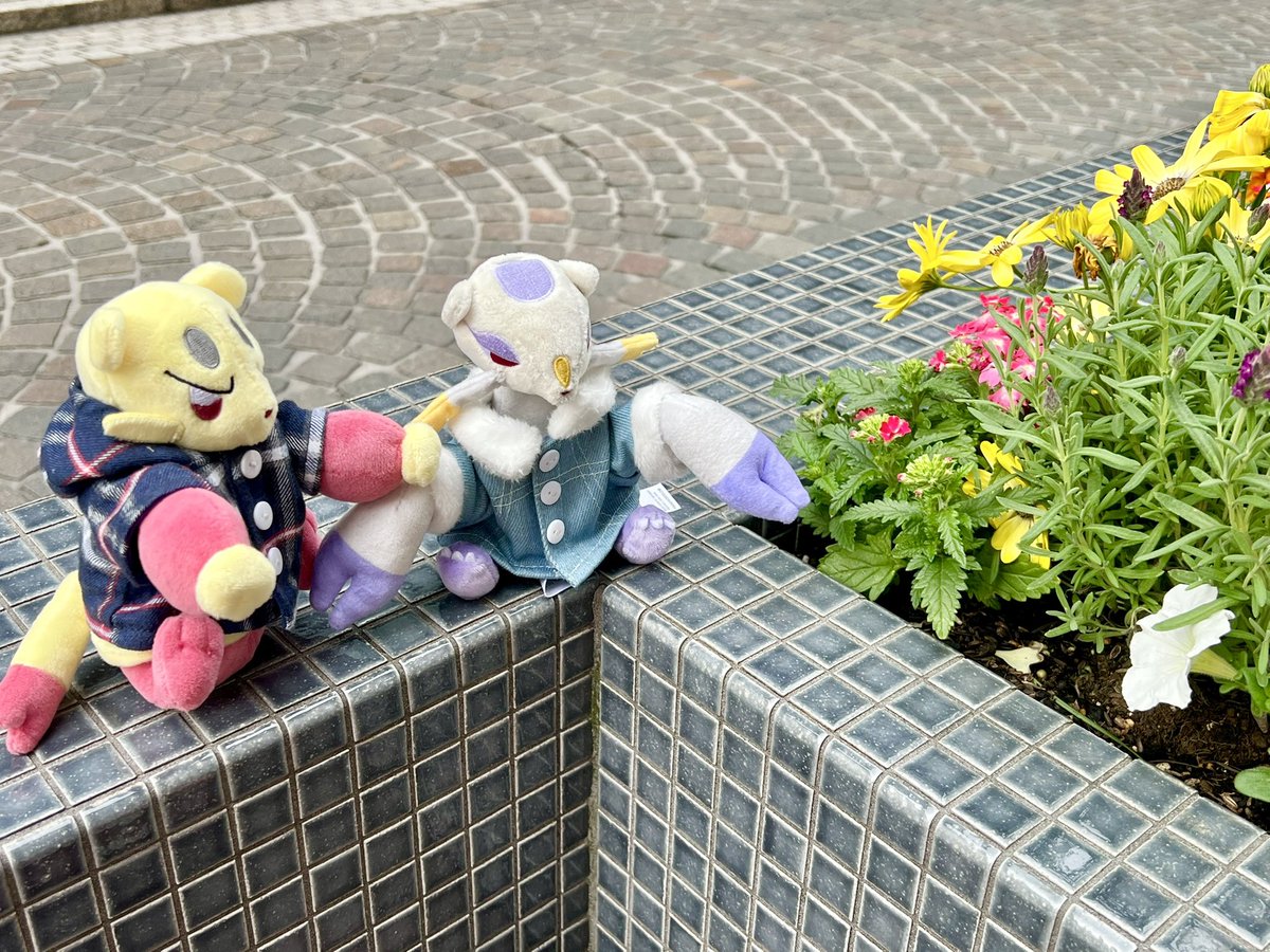 コジョンド老師と弟子のコジョフー tweet media