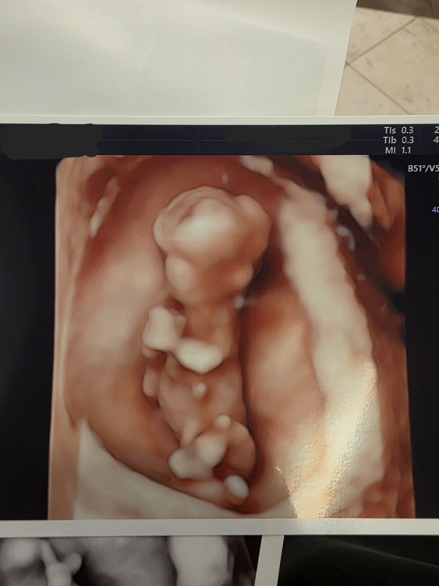 하이젠베르크의 수달 tweet media