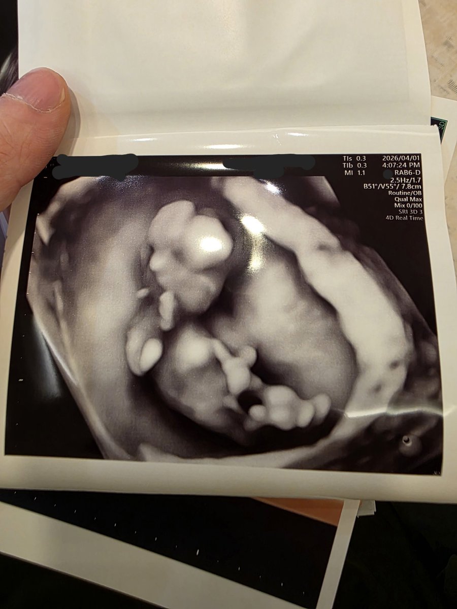 하이젠베르크의 수달 tweet media