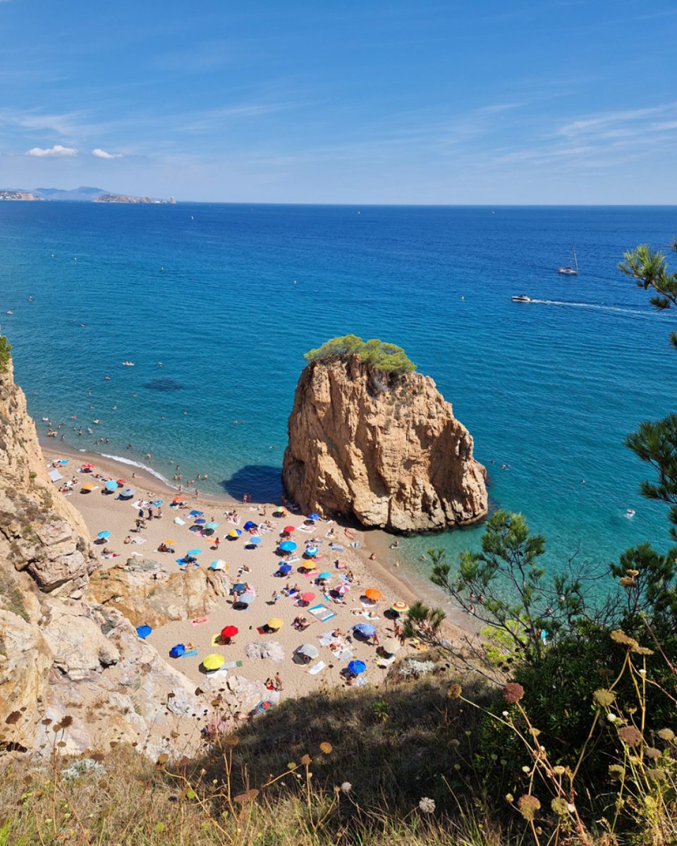 Buscounchollo.com tweet media