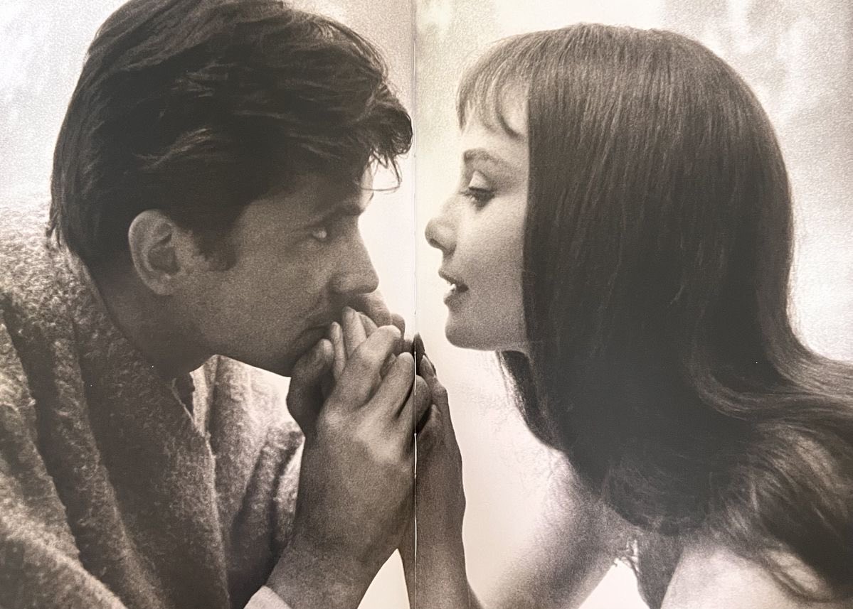 Lily ✮⋆˙ tweet media