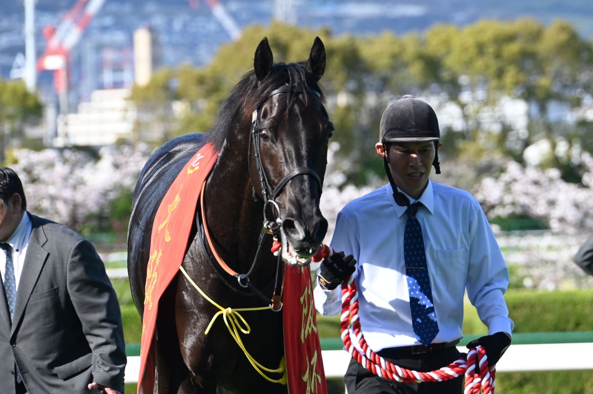 netkeiba tweet media