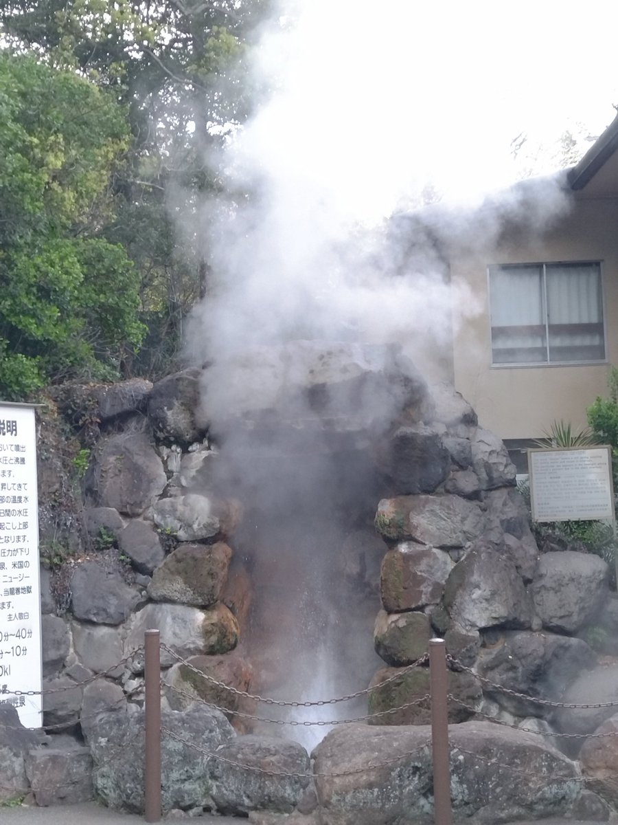 毎日健康飲酒ダイエット tweet media