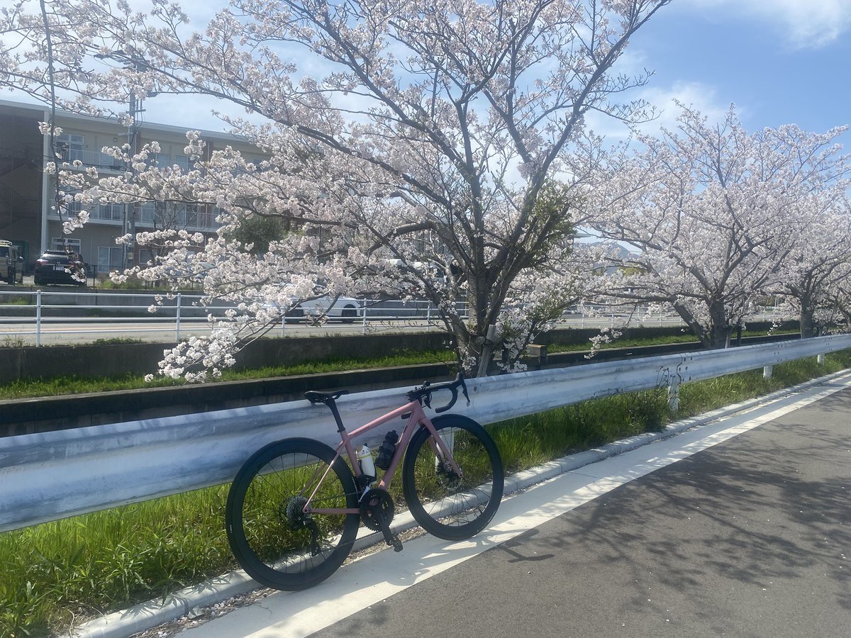aedos_specia1's tweet photo. 天気が良かったので！
最大心拍数の計測からの久しぶりのロング(Z2走)最大心拍数がわかったので
ゾーン2を目安に走る走るほとんど疲れないので帰りは途中からペースアップ！
可視化って良いなぁ
#specializedaethos #aethos
#ゾーン2トレ https://t.co/u9iaVlY2ME