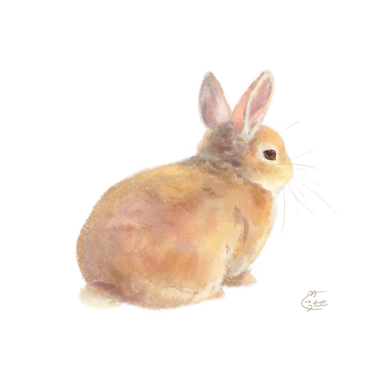 くぅもんせ tweet media