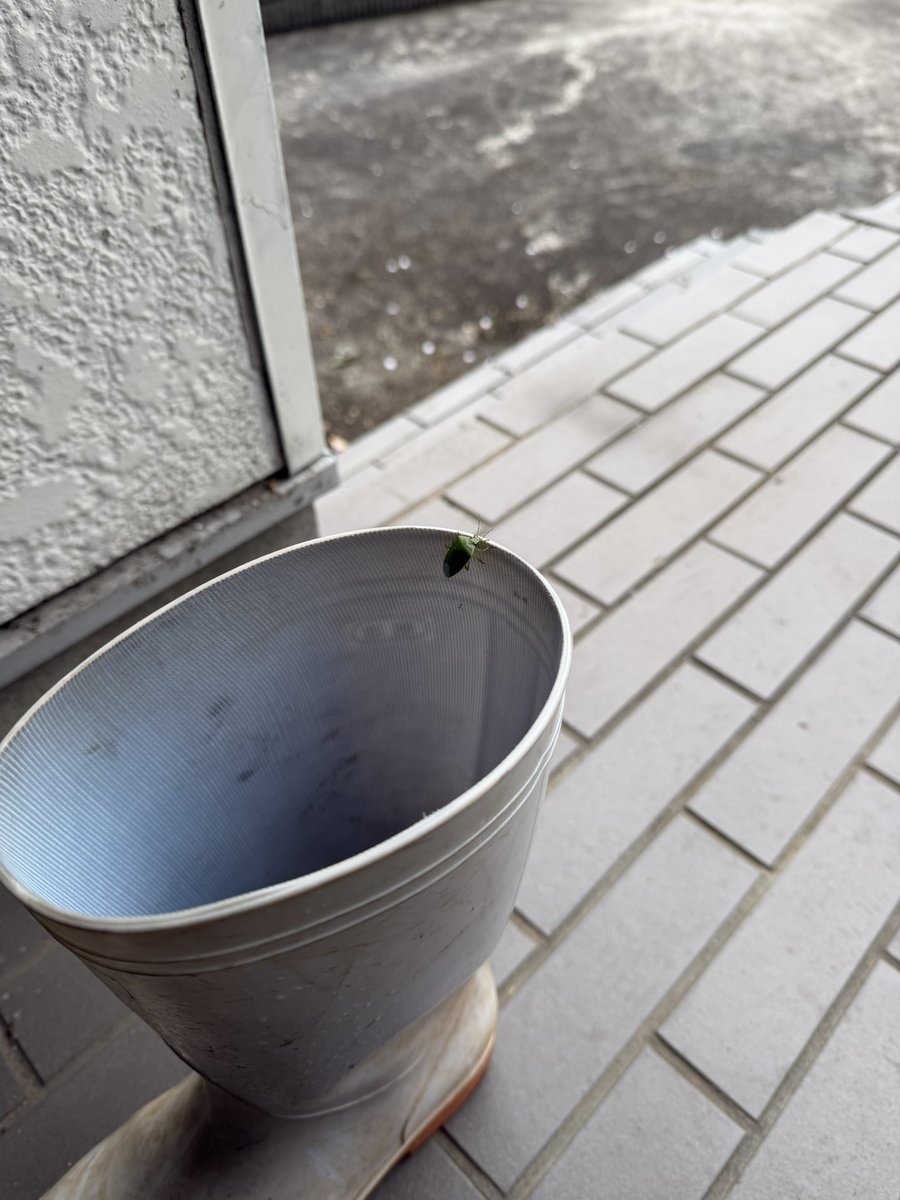 きむにい tweet media