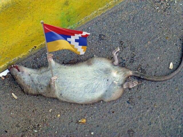 Qarabağlı 𐱅𐰇𐰼𐰰 🇦🇿 tweet media