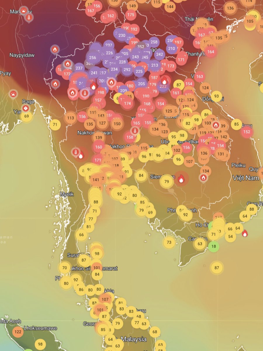 นี๋ร์ Ní tweet media