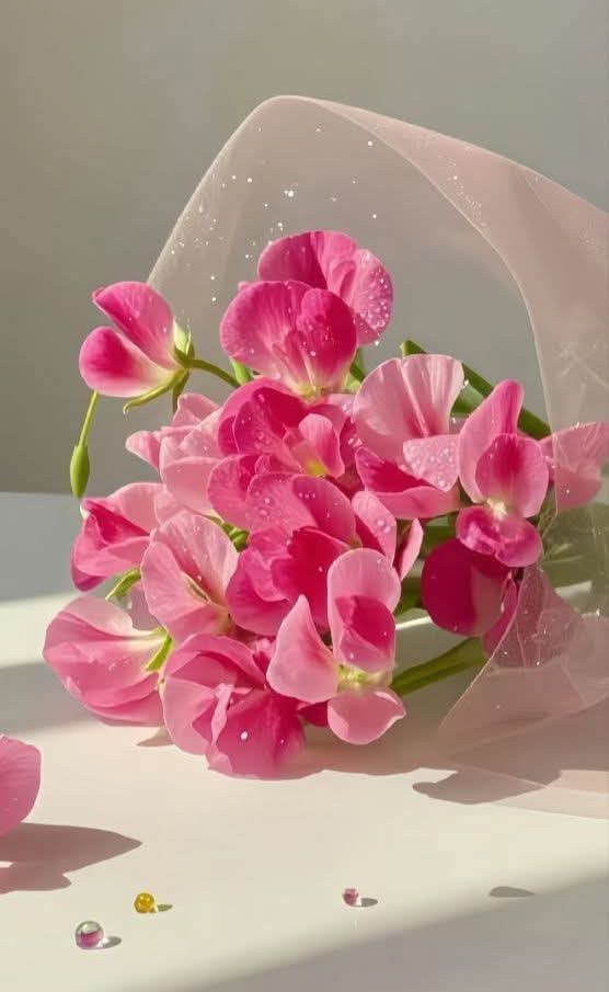 ‏✫⁂میاں محمد شہزاد✫ tweet media