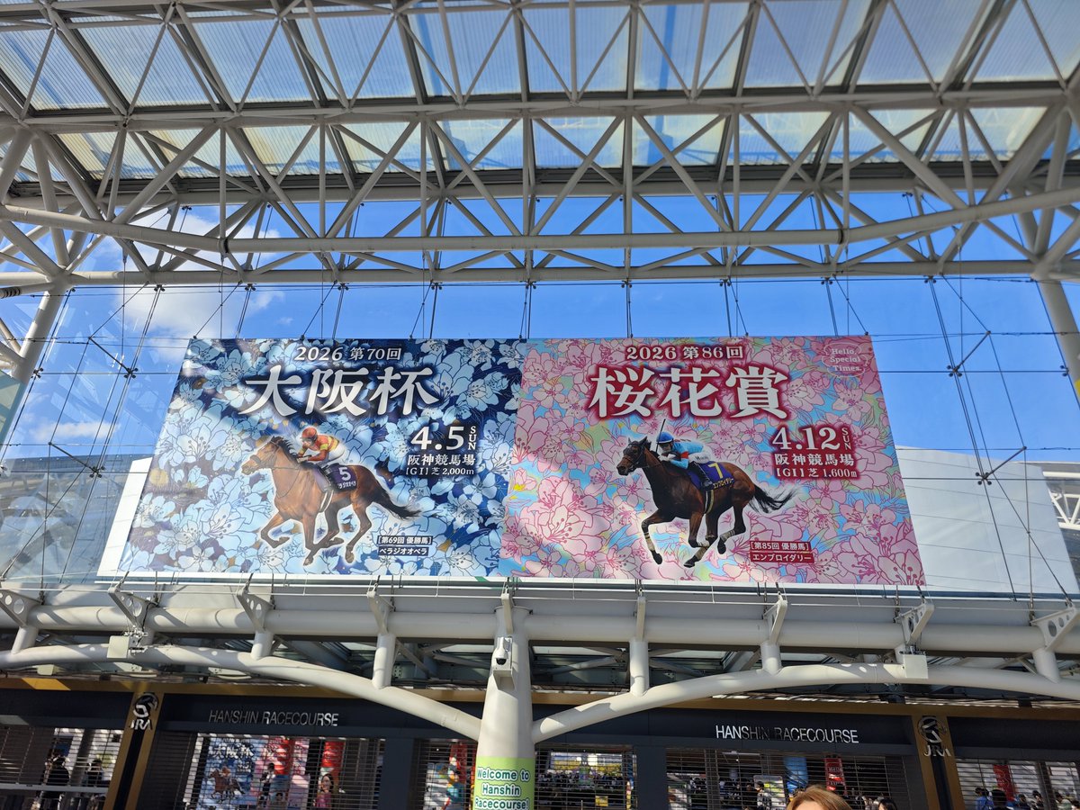 カワセミ tweet media