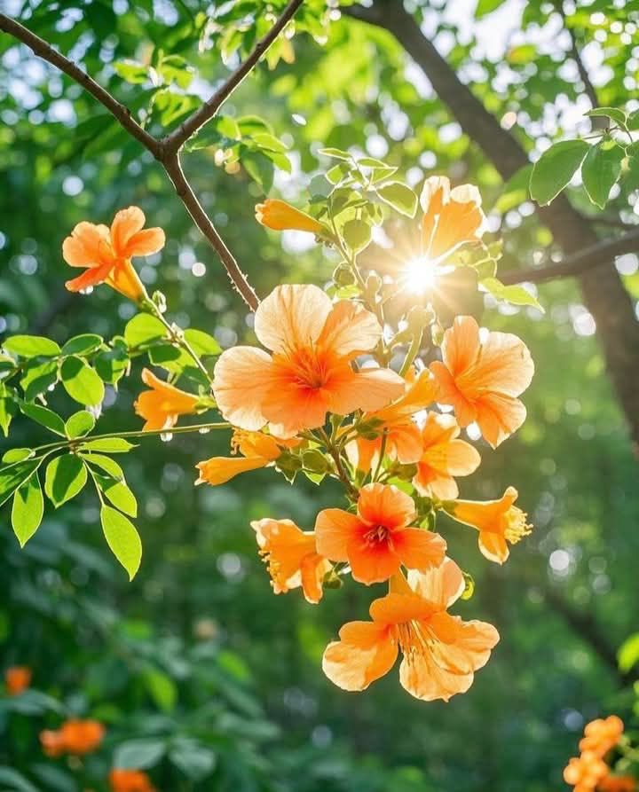 The Vibe Archive tweet media