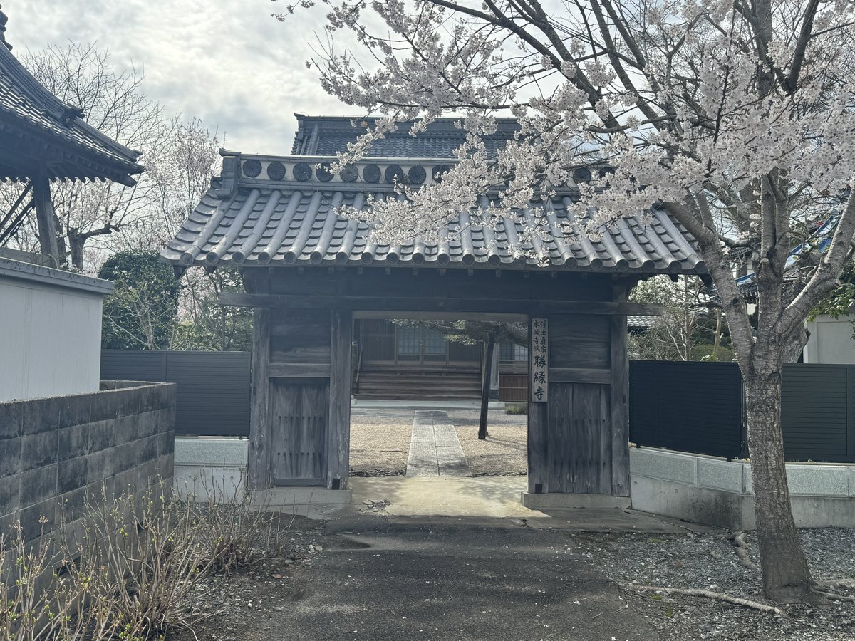 シュペル tweet media