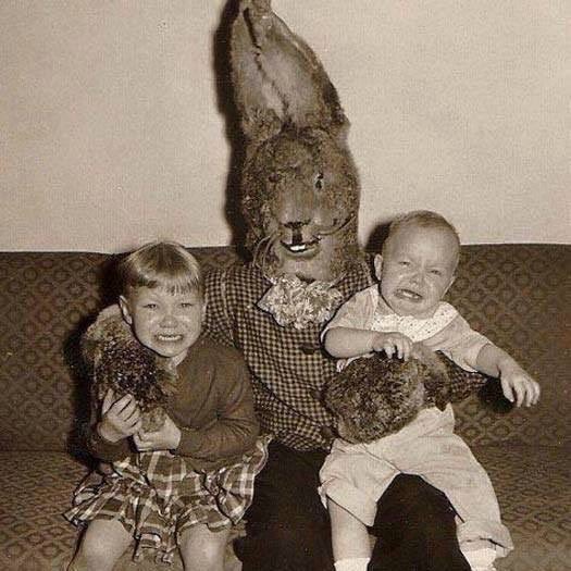 Gart Scheppers 🕊💙🕊️ tweet media